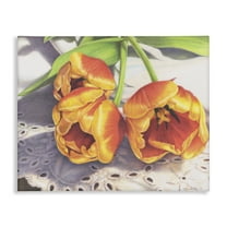 Stupell Industries Three Of A Kind Botanical & Floral Painting Gallery Wrapped Canvas Art Print Wall Art, 20 x 16