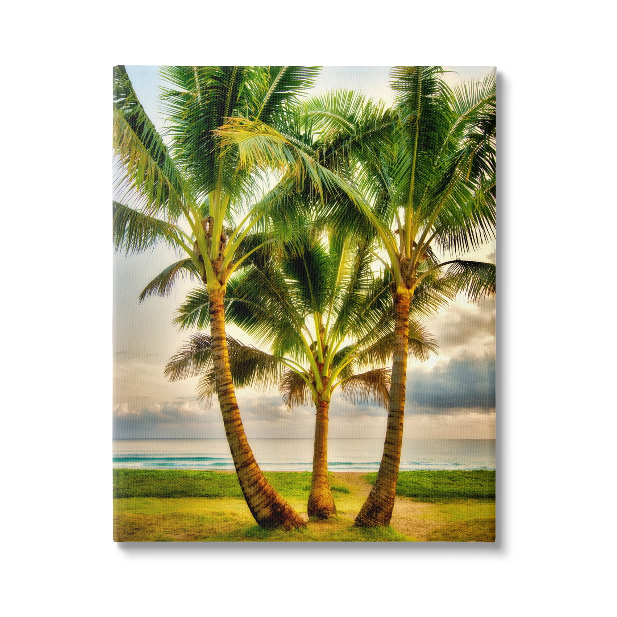 Stupell Industries Three Palm Trees on Beach Nature Painting Gallery Wrapped Canvas Print Wall Art, 36 x 48