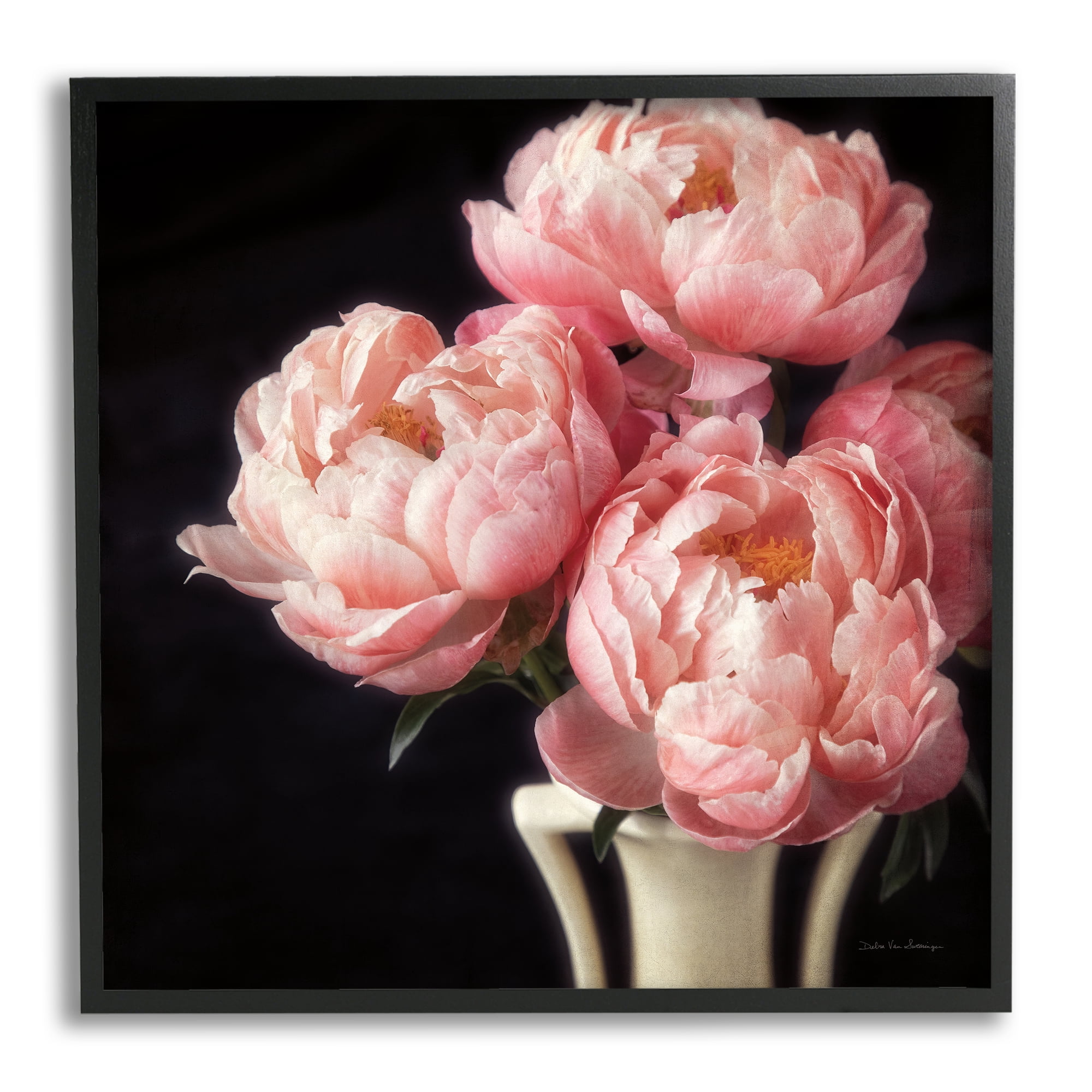 Stupell Industries Three Peonies Photography Botanical & Floral Photography Black Framed Art Print Wall Art, 12 x 12