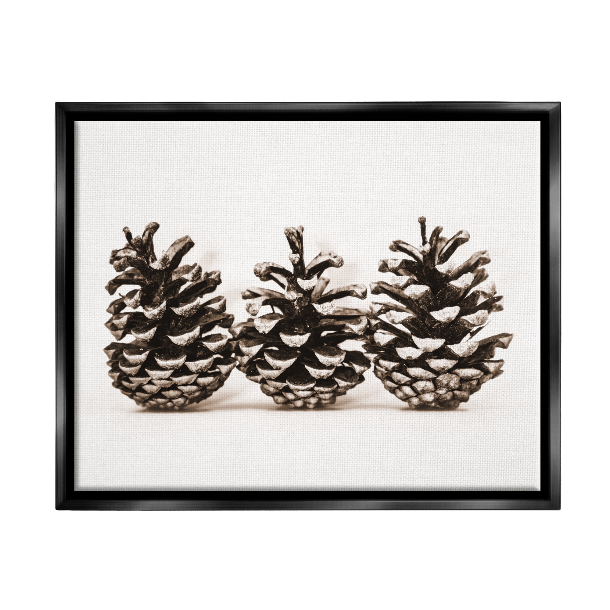 Stupell Industries Three Pinecones Nature Botanical & Floral Photography Black Floater Framed Art Print Wall Art, 31 x 25