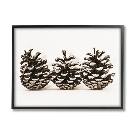 Stupell Industries Three Pinecones Nature Botanical & Floral Photography Black Framed Art Print Wall Art, 20 x 16