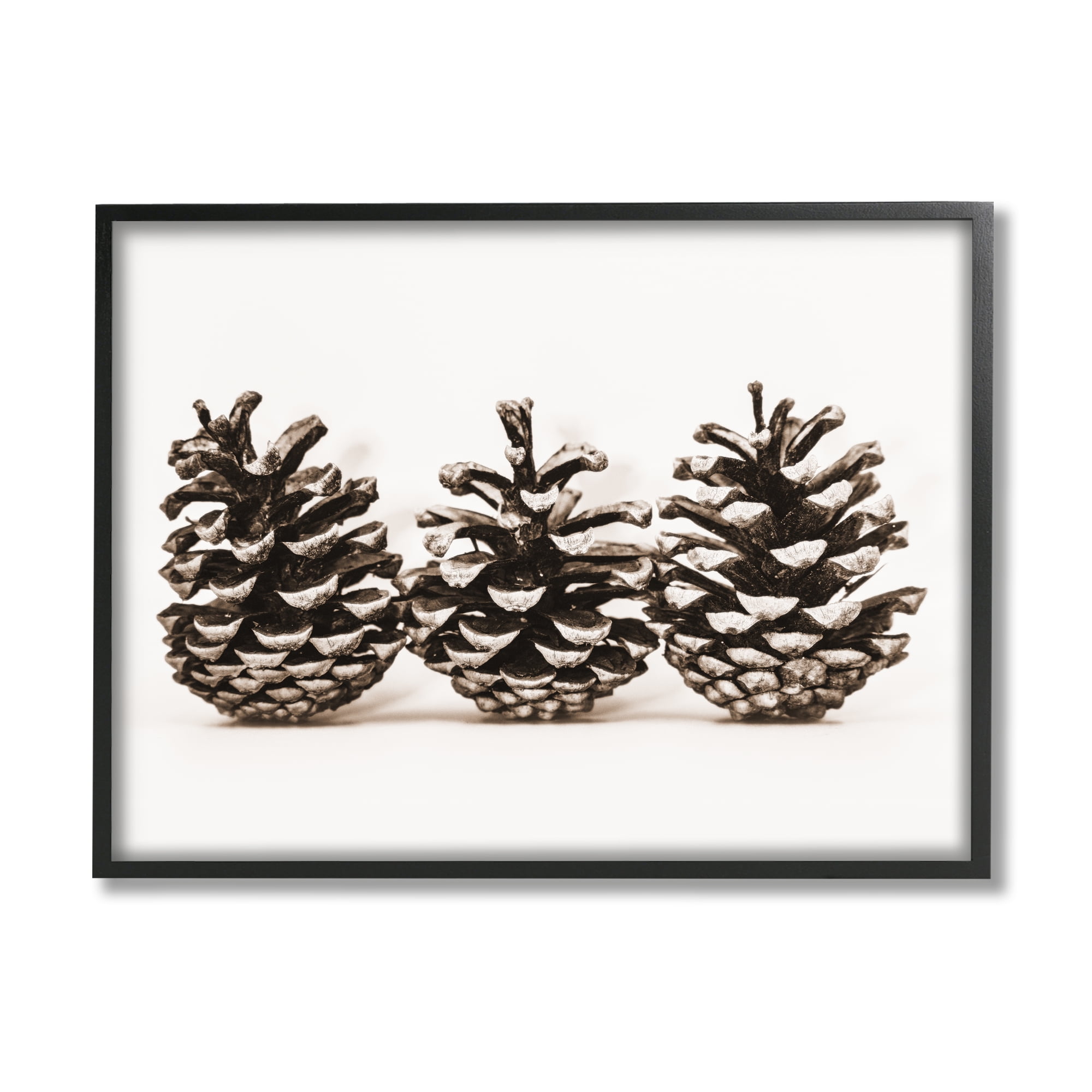 Stupell Industries Three Pinecones Nature Botanical & Floral Photography Black Framed Art Print Wall Art, 30 x 24