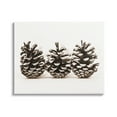 thumbnail image 1 of Stupell Industries Three Pinecones Nature Botanical & Floral Photography Gallery Wrapped Canvas Print Wall Art, 40 x 30, 1 of 7