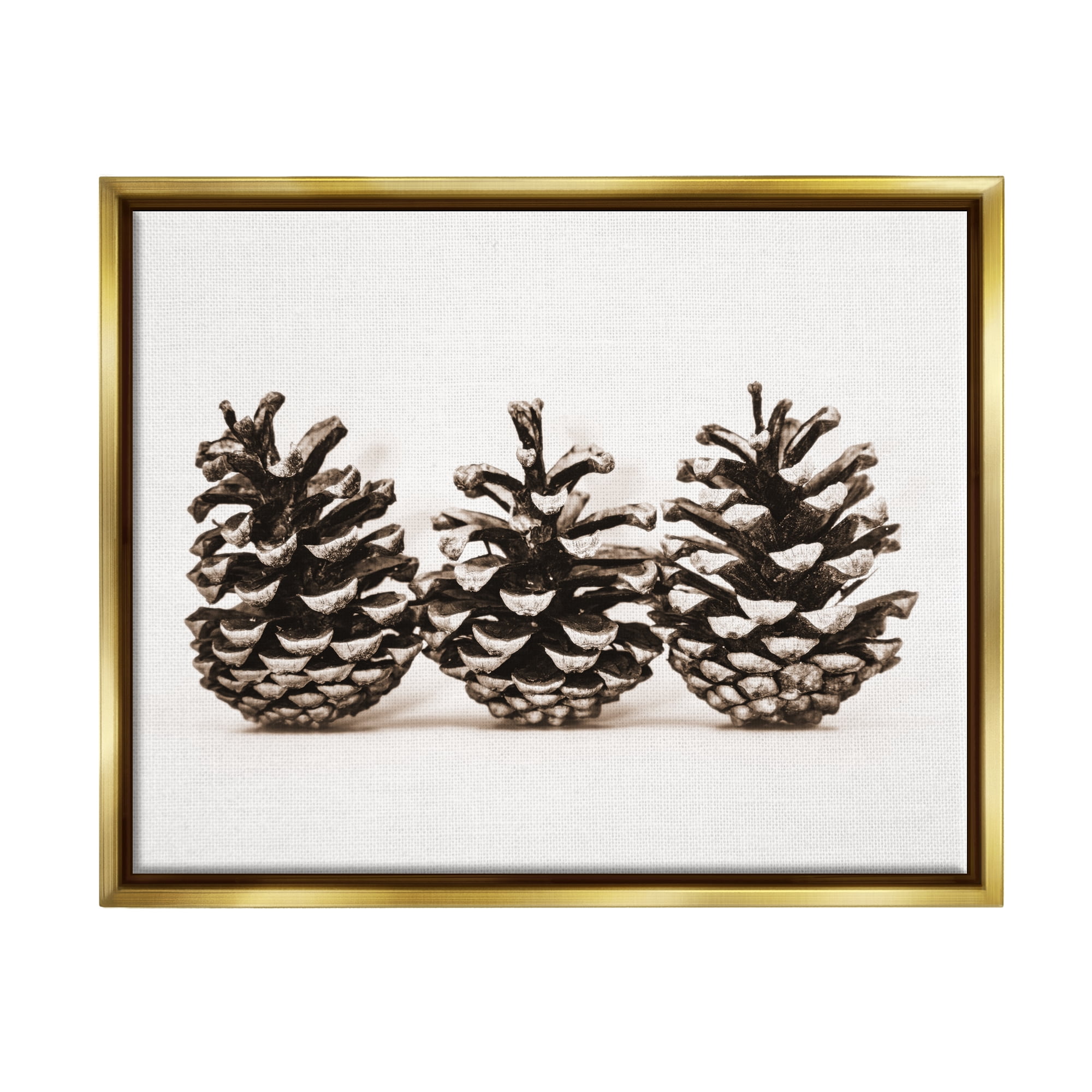 Stupell Industries Three Pinecones Nature Botanical & Floral Photography Gold Floater Framed Art Print Wall Art, 31 x 25