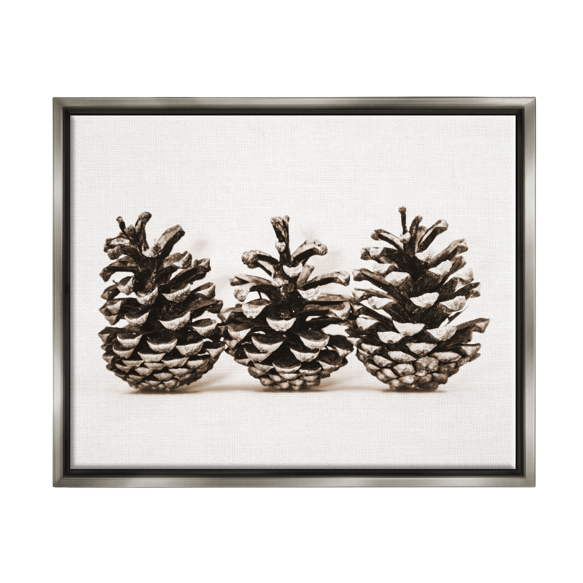 Stupell Industries Three Pinecones Nature Botanical & Floral Photography Gray Floater Framed Art Print Wall Art, 31 x 25
