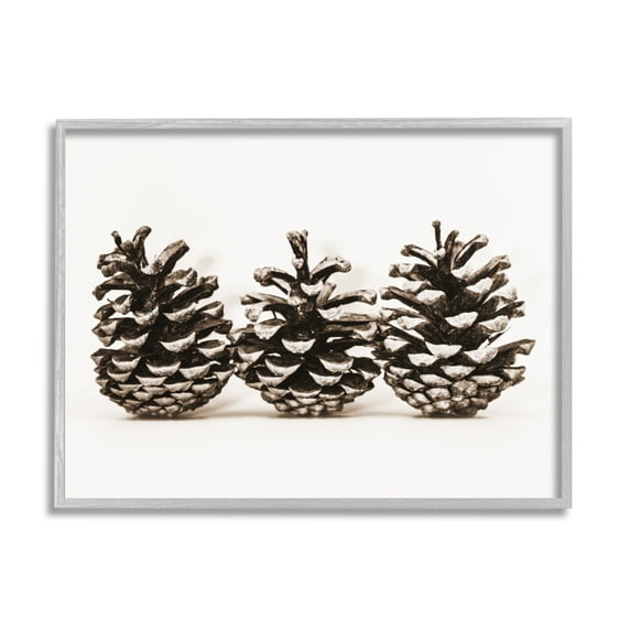 Stupell Industries Three Pinecones Nature Botanical & Floral Photography Gray Framed Art Print Wall Art, 14 x 11