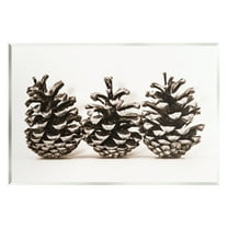 Stupell Industries Three Pinecones Nature Botanical & Floral Photography Unframed Art Print Wall Art, 15 x 10