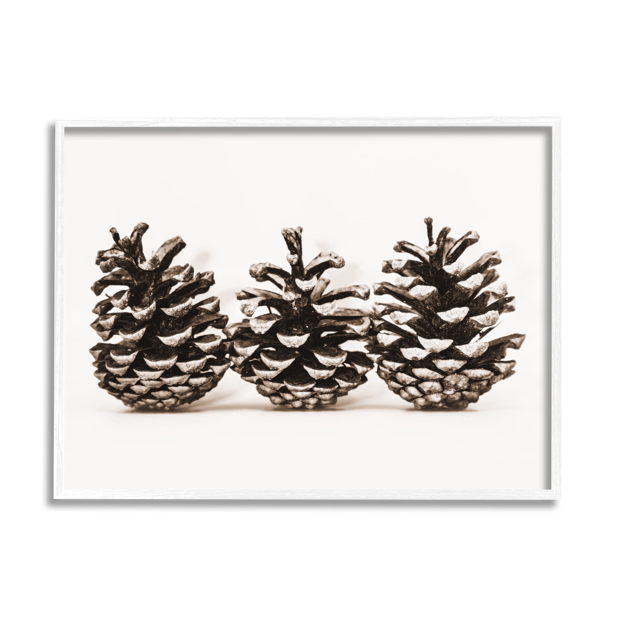 Stupell Industries Three Pinecones Nature Botanical & Floral Photography White Framed Art Print Wall Art, 30 x 24