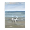 thumbnail image 1 of Stupell Industries Rustic Lodge Three Shorebirds & Gentle Waves Canvas Art, 30 x 40, by Nan, 1 of 8