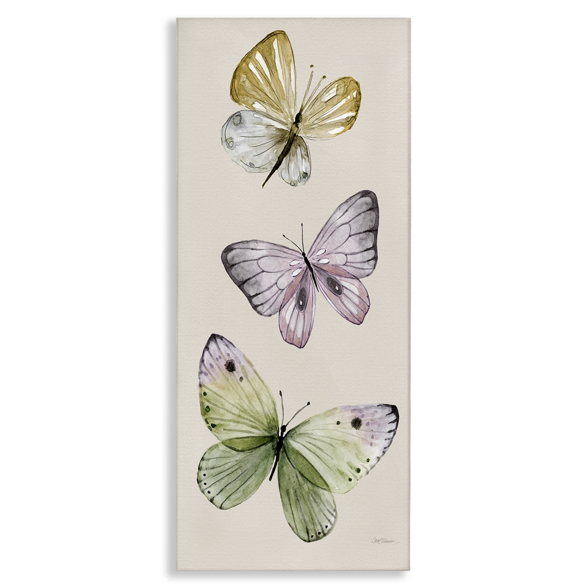 Stupell Industries Three Timeless Butterflies Animals & Insects Painting Gallery Wrapped Canvas Art Print Wall Art, 20 x 48