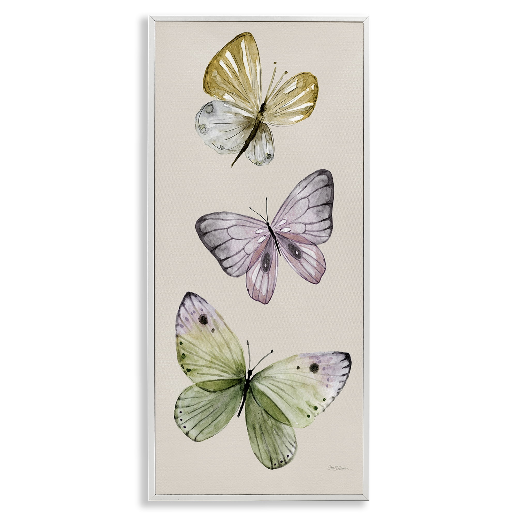 Stupell Industries Three Timeless Butterflies Animals & Insects Painting White Framed Art Print Wall Art, 10 x 24