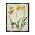 thumbnail image 1 of Stupell Industries Three Tulip Sprigs Botanical & Floral Painting Black Floater Framed Canvas Art Print Wall Art, 17 x 21, 1 of 10