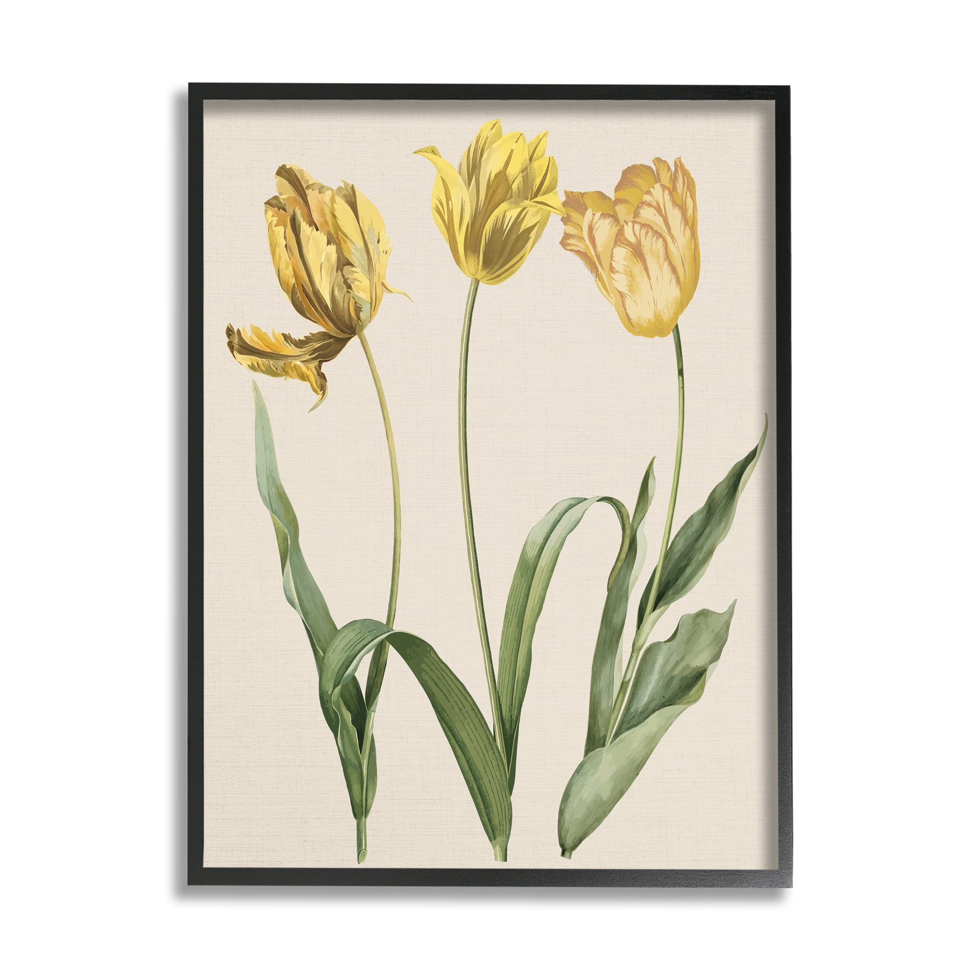 Stupell Industries Three Tulip Sprigs Botanical & Floral Painting Black Framed Art Print Wall Art, 24 x 30
