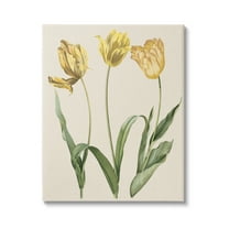 Stupell Industries Three Tulip Sprigs Botanical & Floral Painting Gallery Wrapped Canvas Art Print Wall Art, 16 x 20
