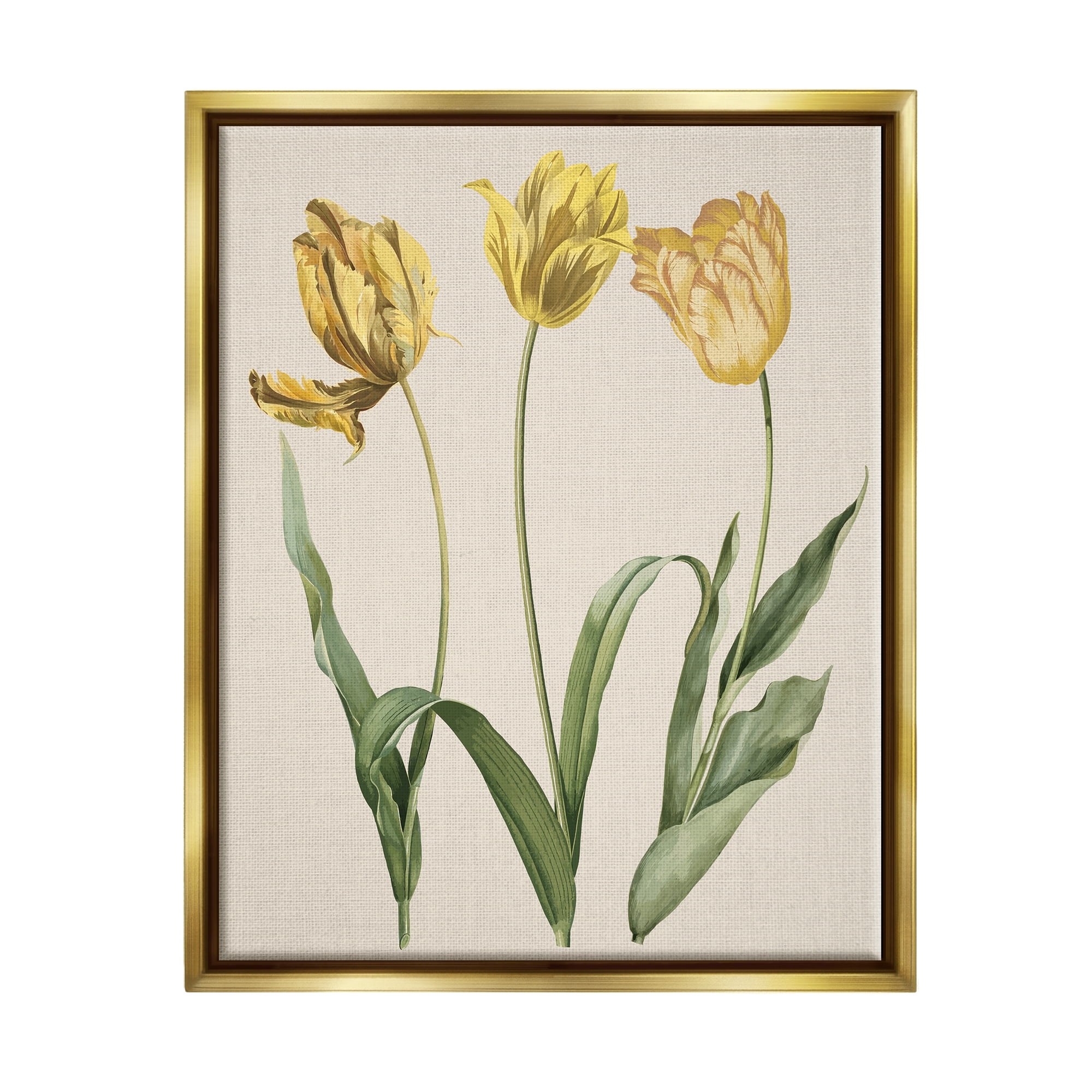 Three Tulip Sprigs Gold Framed Canvas Art Print