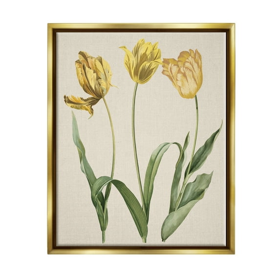 Stupell Industries Three Tulip Sprigs Botanical & Floral Painting Gold Floater Framed Canvas Art Print Wall Art, 17 x 21