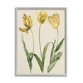 thumbnail image 1 of Stupell Industries Three Tulip Sprigs Botanical & Floral Painting Gray Framed Art Print Wall Art, 11 x 14, 1 of 9