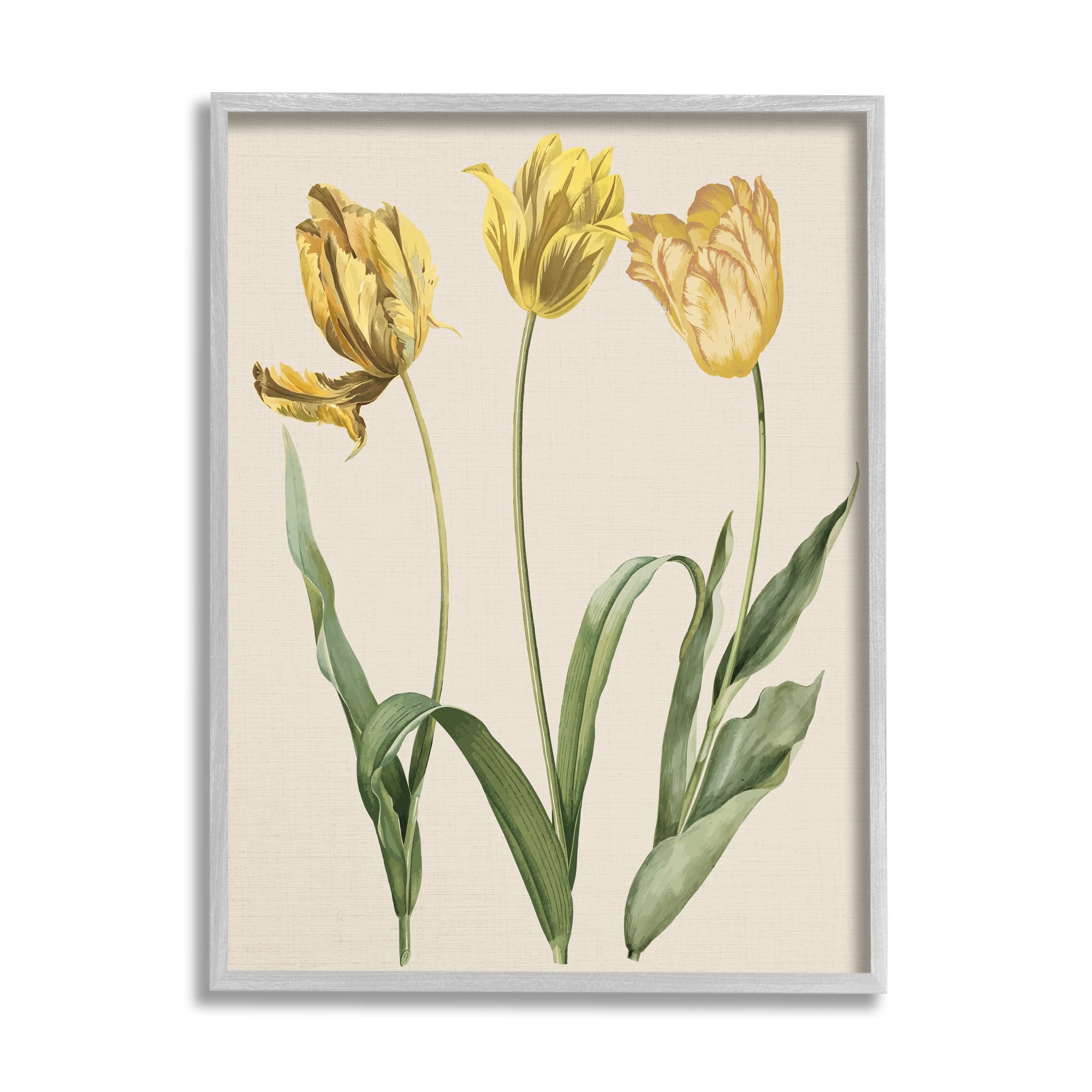 Stupell Industries Three Tulip Sprigs Botanical & Floral Painting Gray Framed Art Print Wall Art, 24 x 30