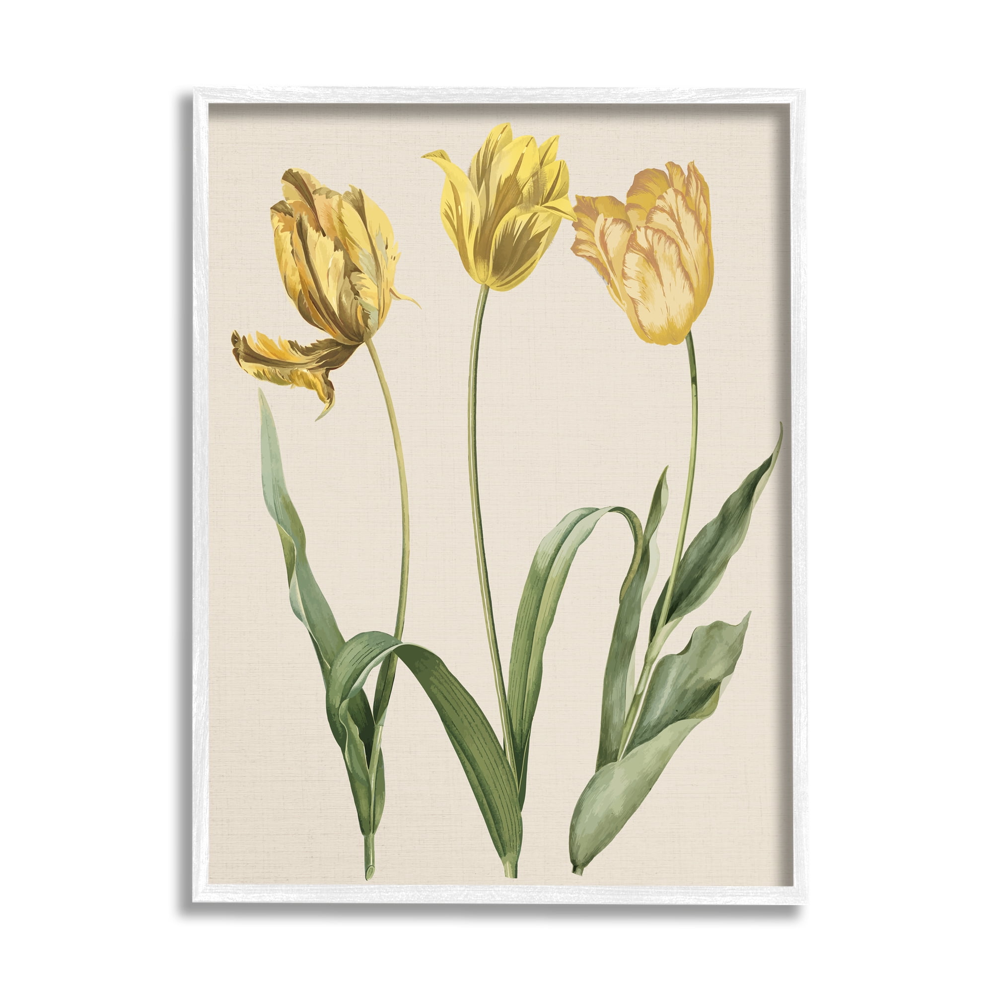 Stupell Industries Three Tulip Sprigs Botanical & Floral Painting White Framed Art Print Wall Art, 11 x 14