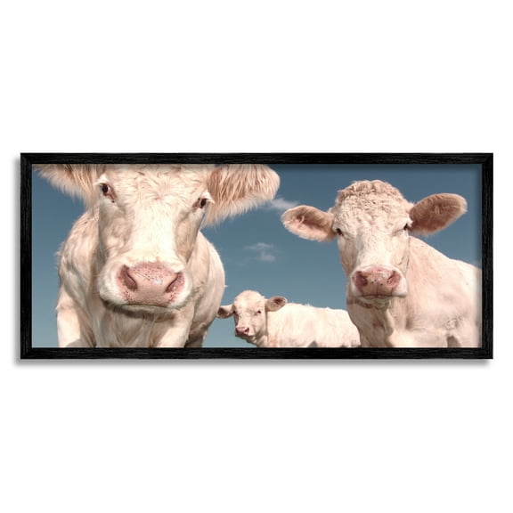 Stupell Industries Three White Cows Animals & Insects Photography Black Framed Art Print Wall Art, 24 x 10