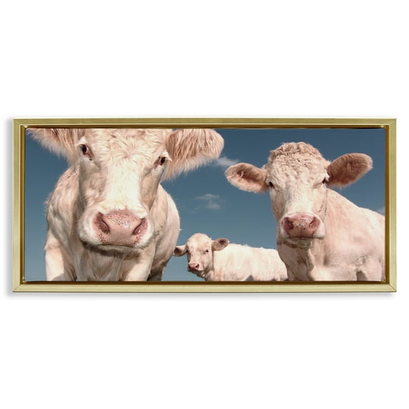 Stupell Industries Three White Cows Animals & Insects Photography Gold Floater Framed Canvas Art Print Wall Art, 25 x 11