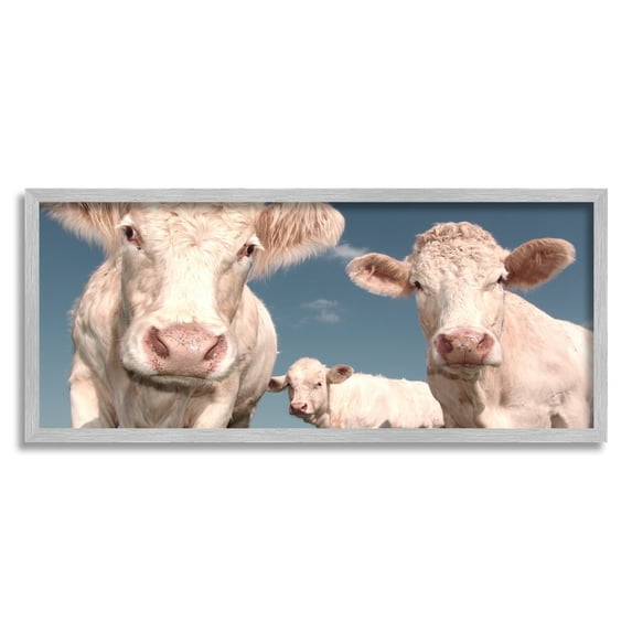 Stupell Industries Three White Cows Animals & Insects Photography Gray Framed Art Print Wall Art, 30 x 13