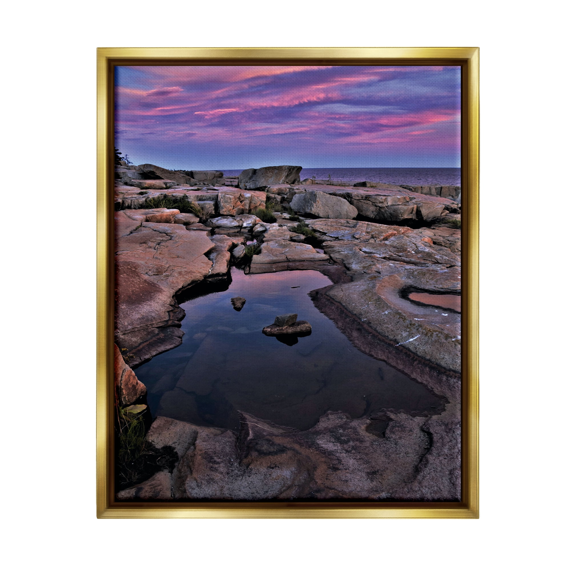 Stupell Industries Tide Pool Landscape Nature Photography Gold Floater Framed Art Print Wall Art, 25 x 31