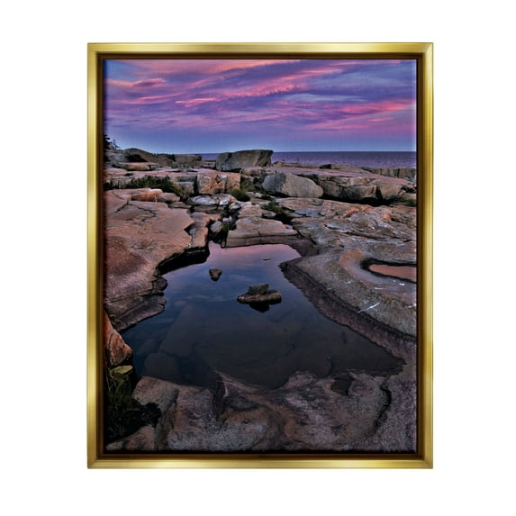 Stupell Industries Tide Pool Landscape Nature Photography Gold Floater Framed Art Print Wall Art, 25 x 31