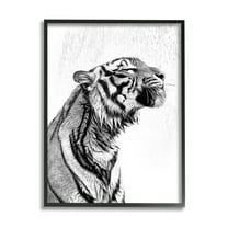 Stupell Industries Tiger Bathroom Splash Animals & Insects Painting Black Framed Art Print Wall Art, 11 x 14