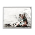 thumbnail image 1 of Stupell Industries Tiger Cat Resting Animal Portrait Striped Feline, 14 x 11,Design by Danita Delimont, 1 of 5