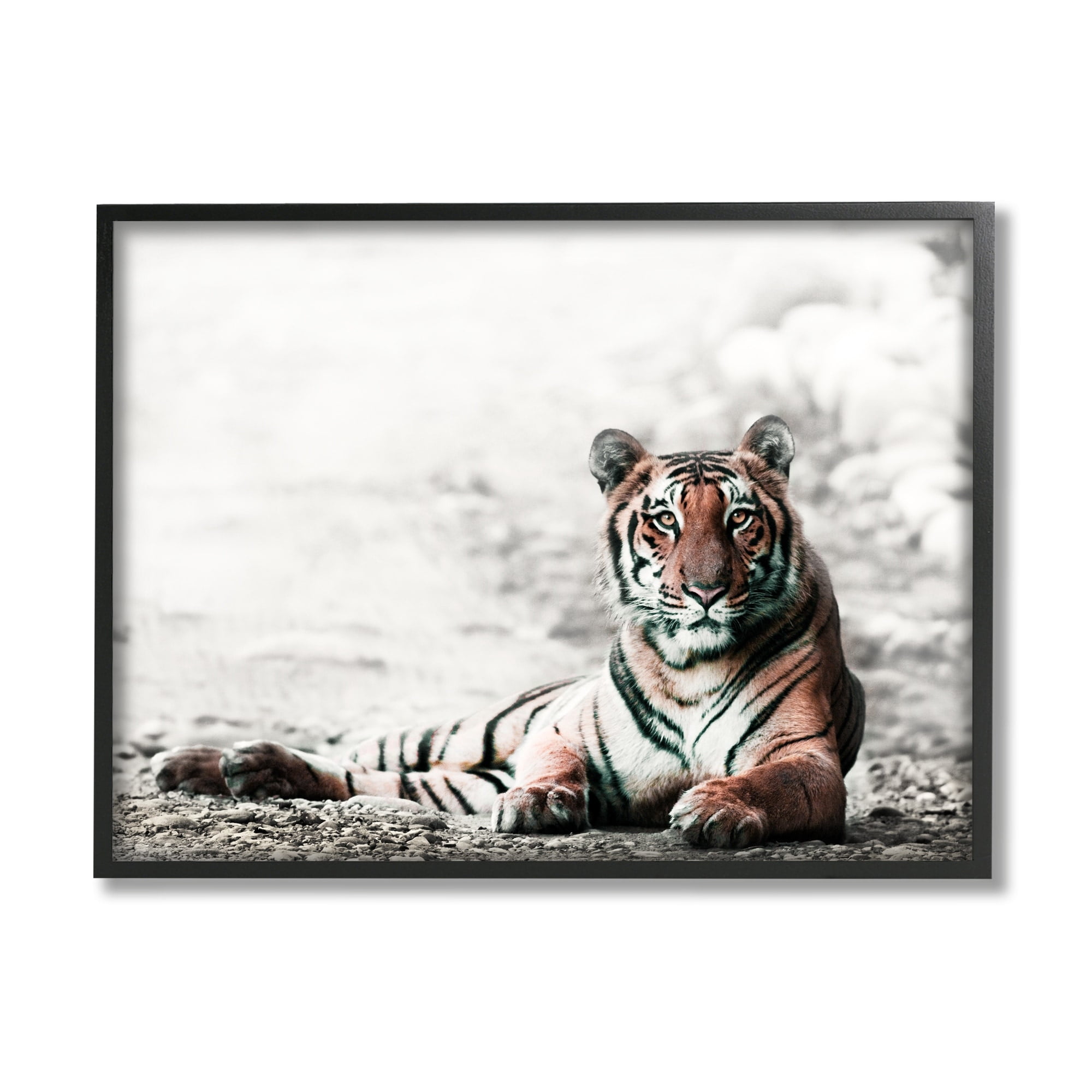 Stupell Industries Tiger Cat Resting Animal Portrait Striped Feline, 20 x 16,Design by Danita Delimont