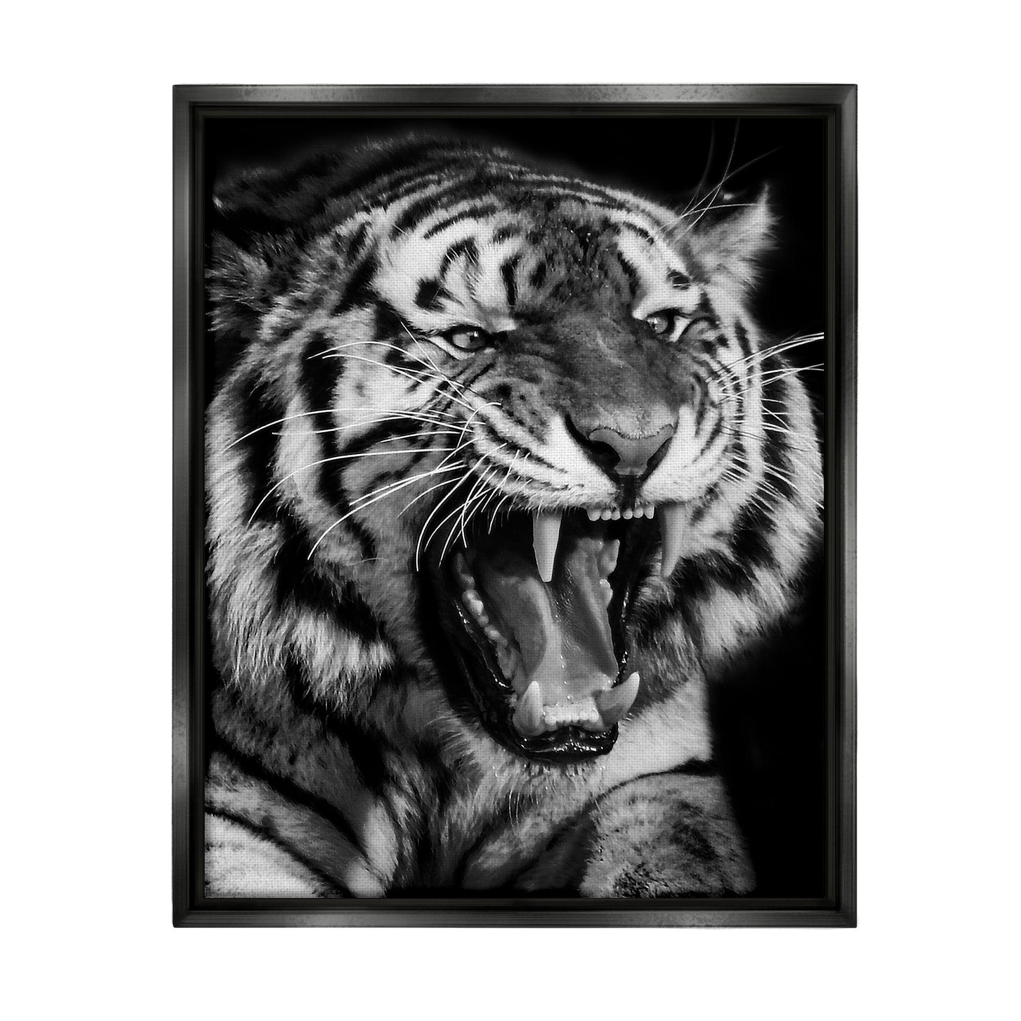 Stupell Industries Tiger Roaring Photography Animals & Insects Photography Black Floater Framed Canvas Art Print Wall Art, 17 x 21