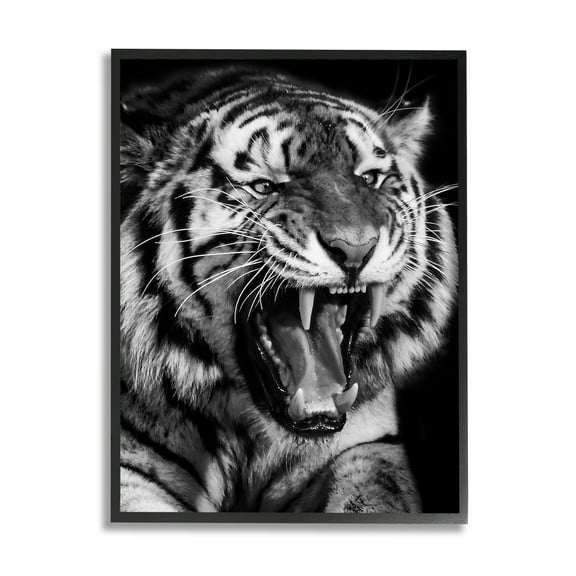 Stupell Industries Tiger Roaring Photography Animals & Insects Photography Black Framed Art Print Wall Art, 11 x 14