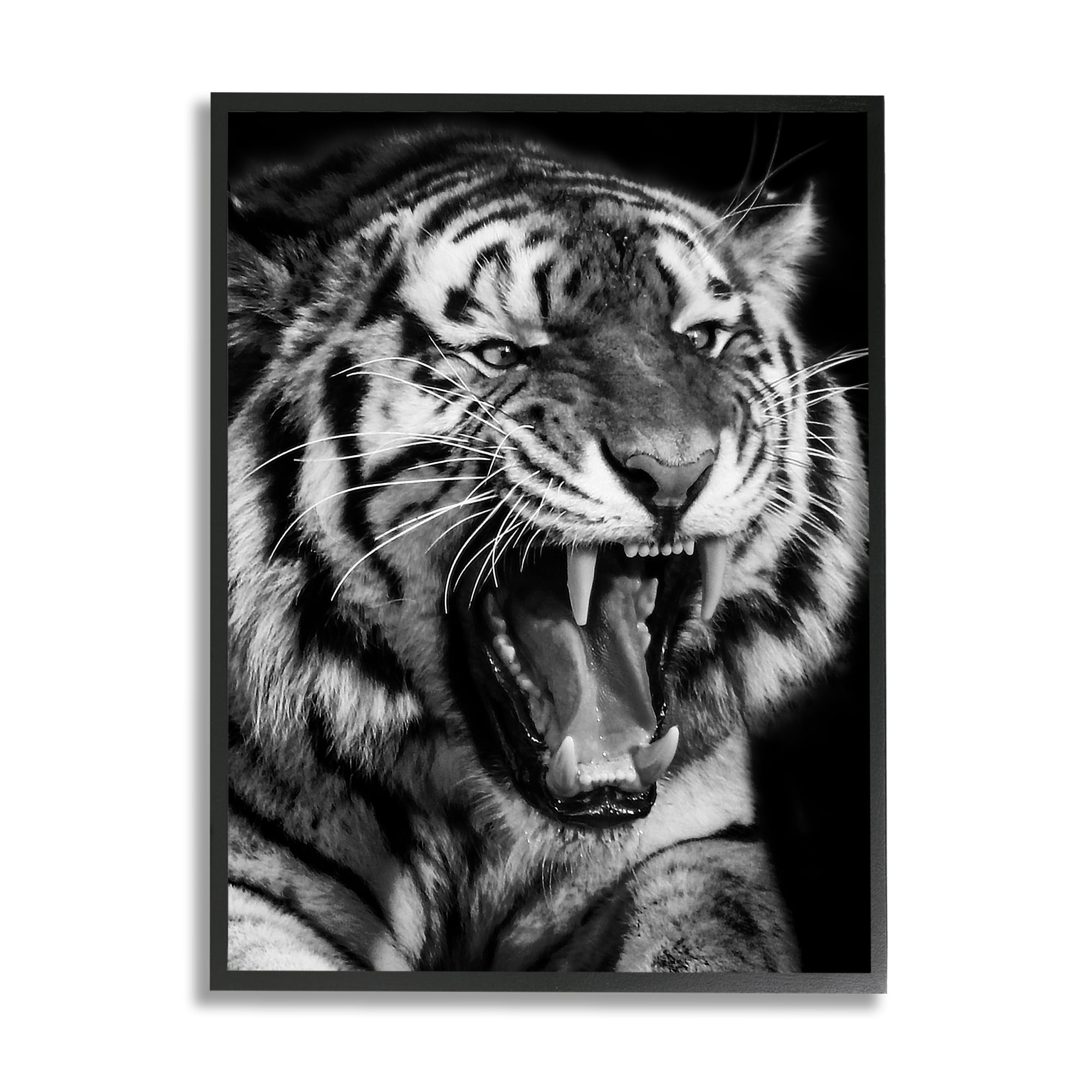Stupell Industries Tiger Roaring Photography Animals & Insects Photography Black Framed Art Print Wall Art, 24 x 30