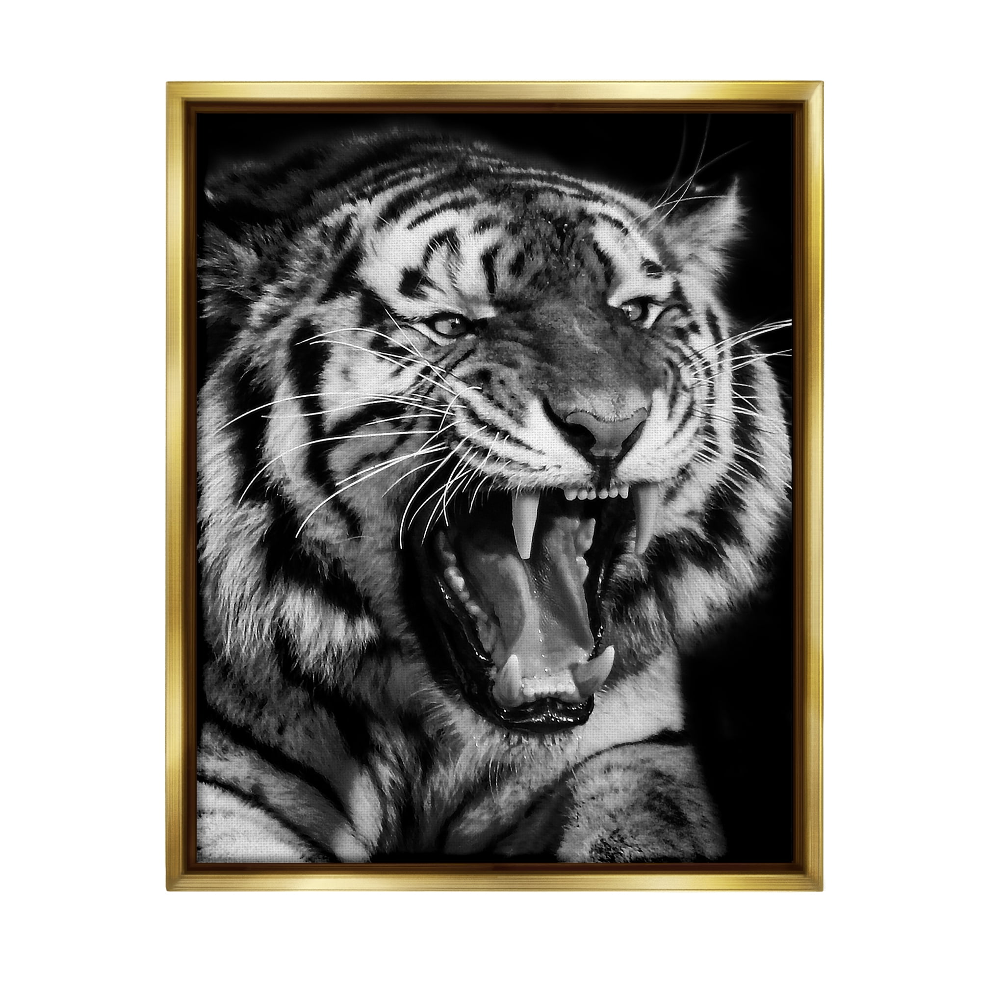 Stupell Industries Tiger Roaring Photography Animals & Insects Photography Gold Floater Framed Canvas Art Print Wall Art, 17 x 21