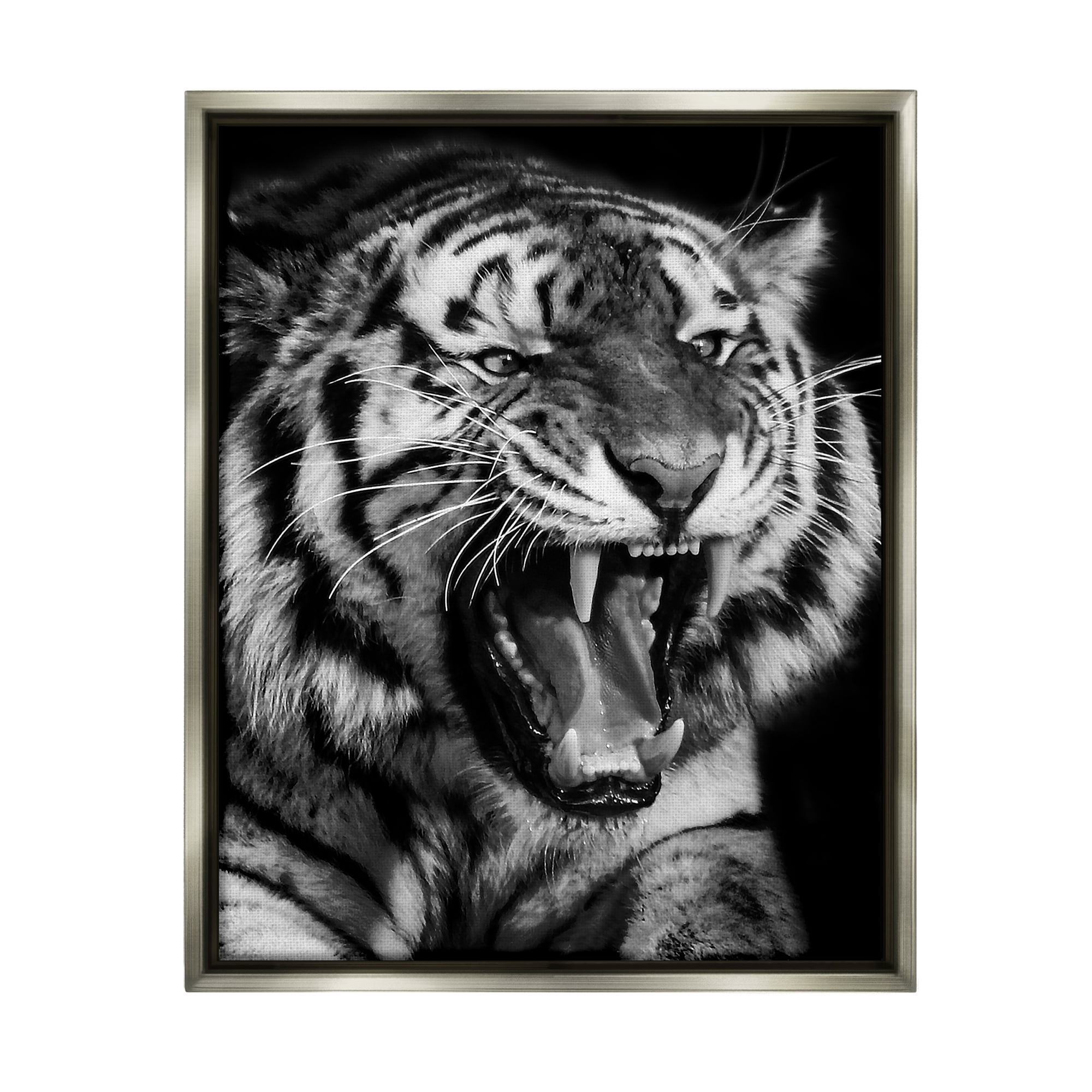 Stupell Industries Tiger Roaring Photography Animals & Insects Photography Gray Floater Framed Canvas Art Print Wall Art, 25 x 31