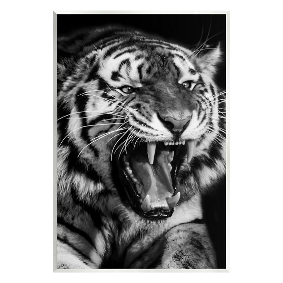 Stupell Industries Tiger Roaring Photography Animals & Insects Photography Unframed Art Print Wall Art, 13 x 19