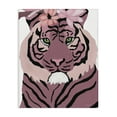 thumbnail image 1 of Stupell Industries Tiger with Pink Blooms Animals & Insects Painting Gallery Wrapped Canvas Art Print Wall Art, 24 x 30, 1 of 8