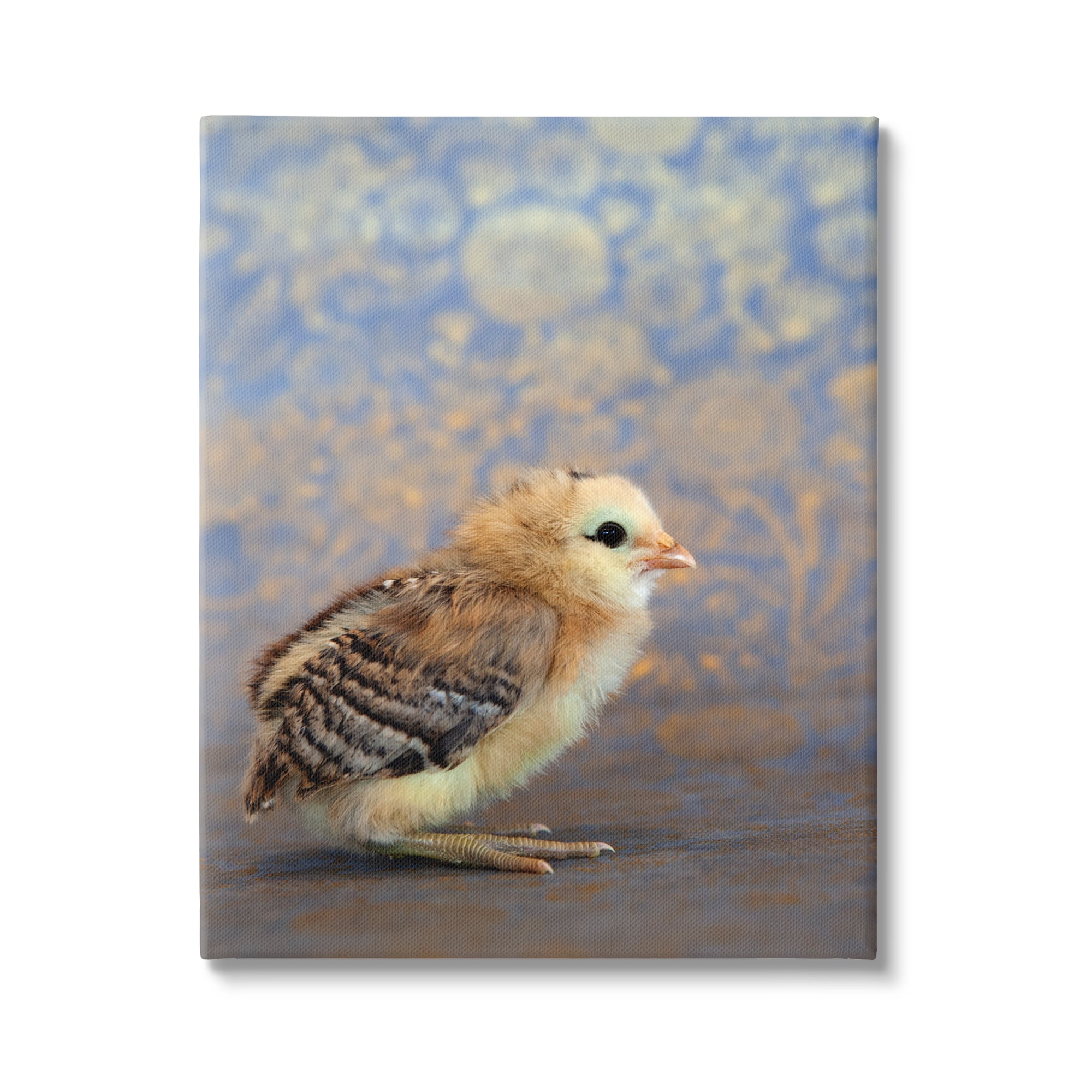 Stupell Industries Tiny Baby Bird Chick Patterned Botanical Backdrop Photograph Gallery Wrapped Canvas Print Wall Art, Design by Tania Soderman
