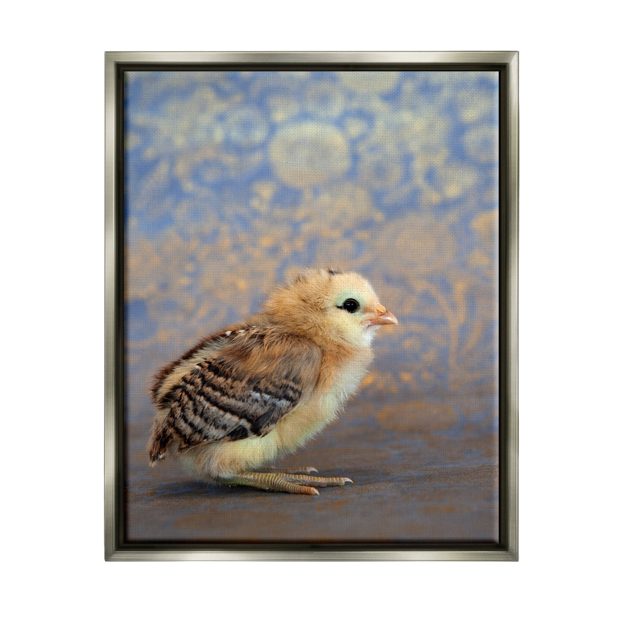 Stupell Industries Tiny Baby Bird Chick Patterned Botanical Backdrop Photograph Luster Gray Floating Framed Canvas Print Wall Art, Design by Tania Soderman