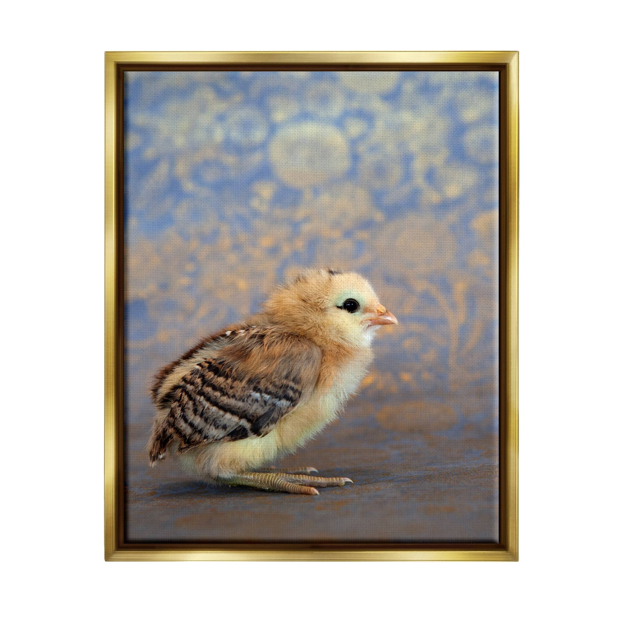 Stupell Industries Tiny Baby Bird Chick Patterned Botanical Backdrop Photograph Metallic Gold Floating Framed Canvas Print Wall Art, Design by Tania Soderman