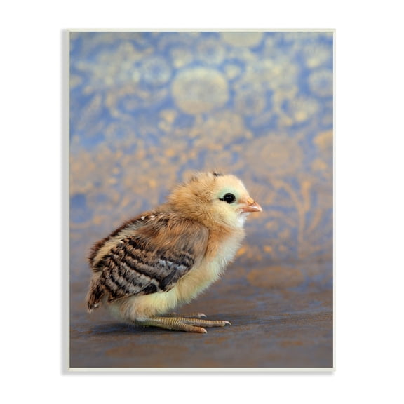 Stupell Industries Tiny Baby Bird Chick Patterned Botanical Backdrop Photograph Unframed Art Print Wall Art, Design by Tania Soderman