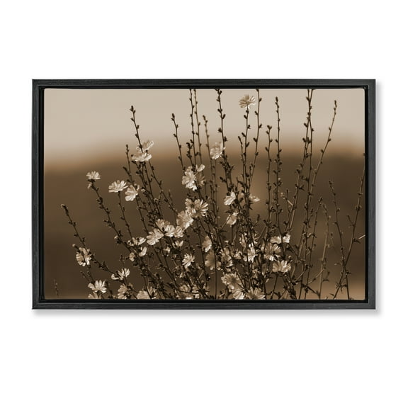 Stupell Industries Tiny Blooming Flowers Plants & Flowers Photography Black Floater Framed Canvas Art Print Wall Art, 25 x 17