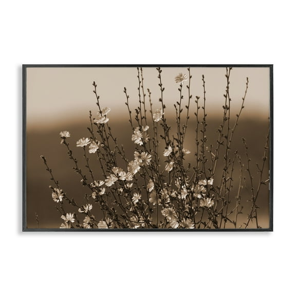 Stupell Industries Tiny Blooming Flowers Plants & Flowers Photography Black Framed Art Print Wall Art, 18 x 12