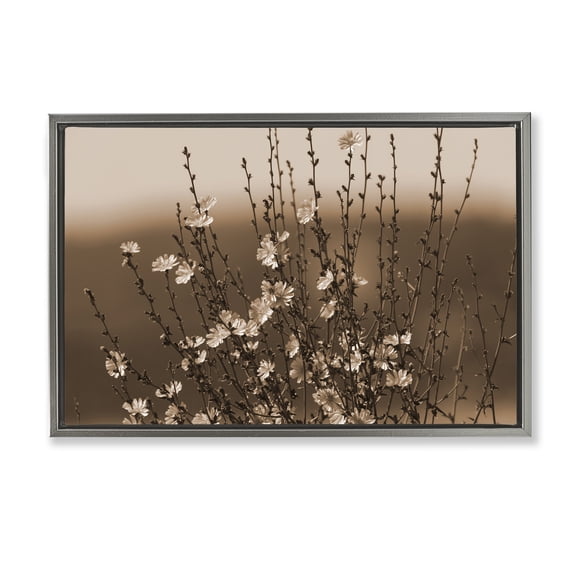 Stupell Industries Tiny Blooming Flowers Plants & Flowers Photography Gray Floater Framed Canvas Art Print Wall Art, 31 x 21