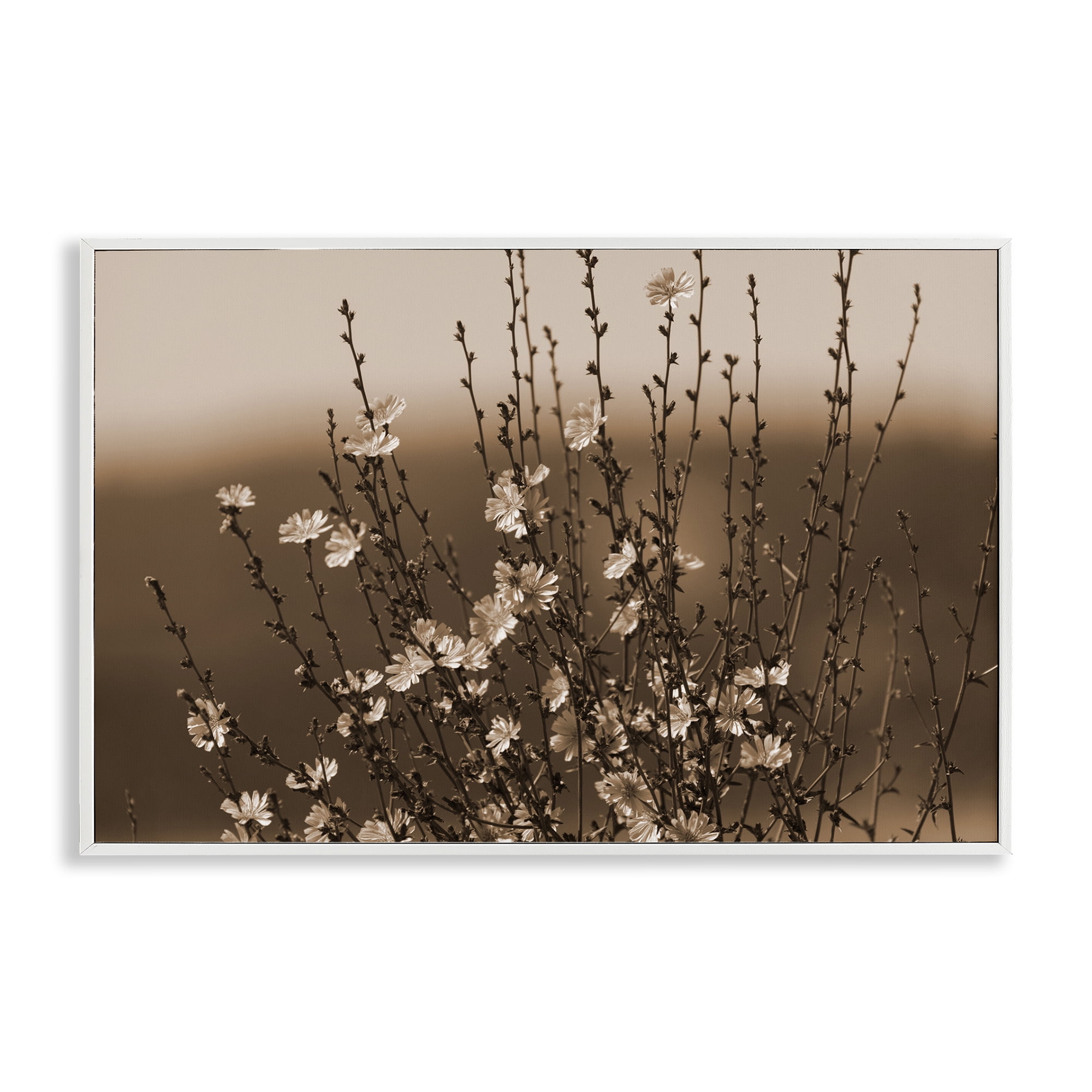 Stupell Industries Tiny Blooming Flowers Plants & Flowers Photography White Framed Art Print Wall Art, 30 x 20