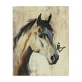 thumbnail image 1 of Stupell Industries Contemporary Tiny Magic Horse & Butterfly Canvas Art, 30 x 40, by Svetlana Aleynikova, 1 of 8
