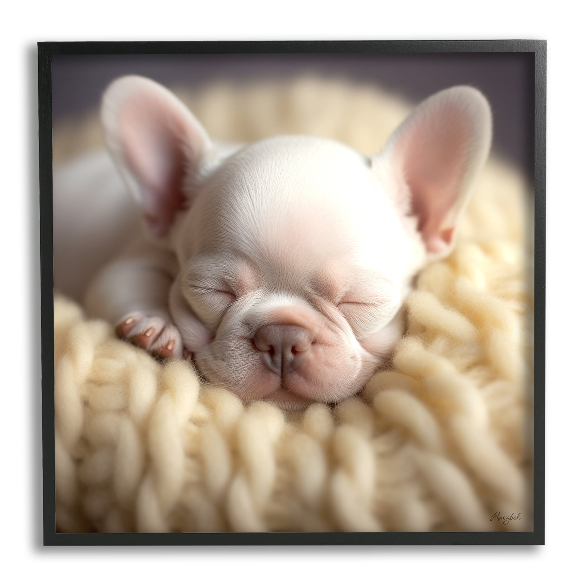 Stupell Industries Tiny Puppy Sleeping Animals & Insects Painting Black Framed Art Print Wall Art, 17 x 17