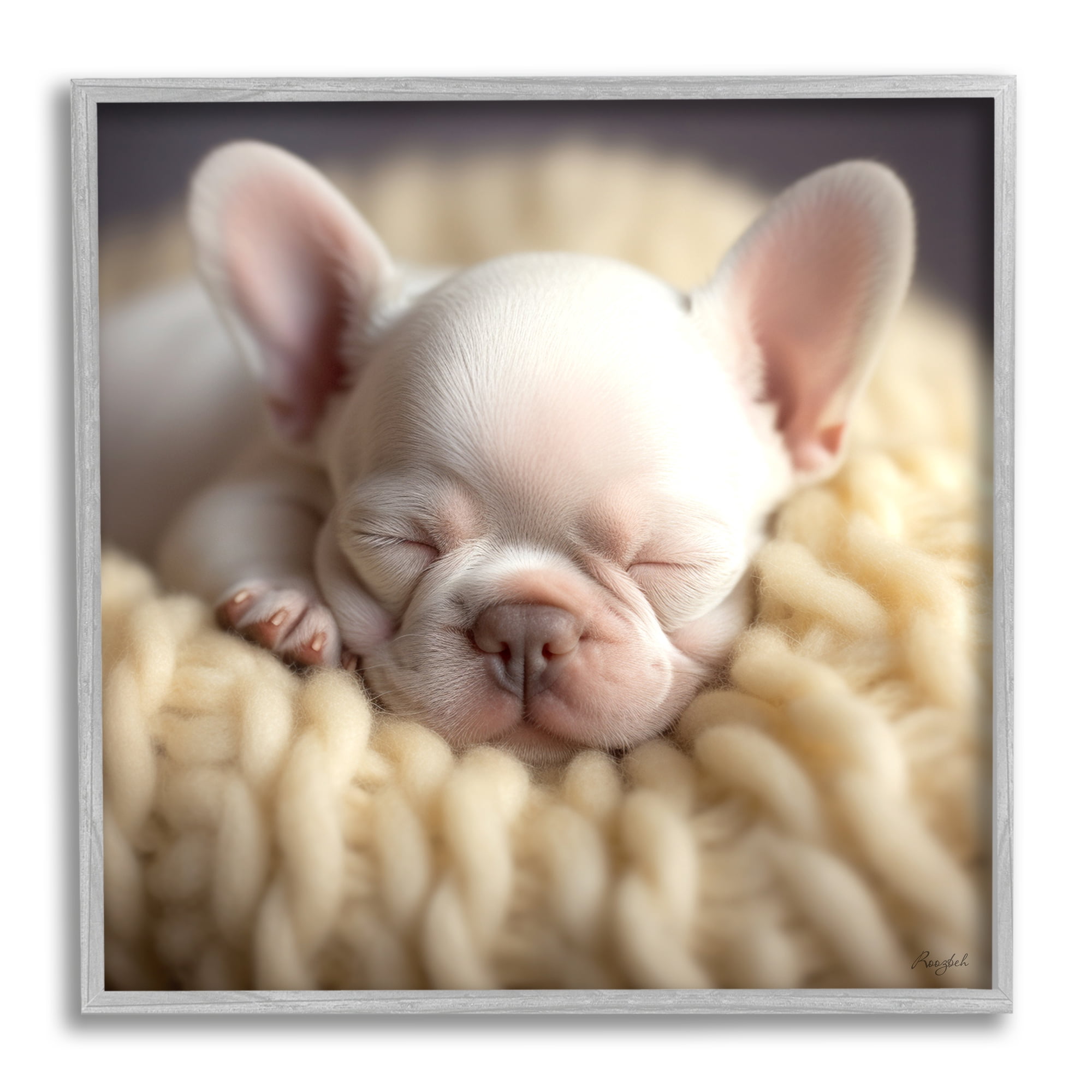 Stupell Industries Tiny Puppy Sleeping Animals & Insects Painting Gray Framed Art Print Wall Art, 17 x 17
