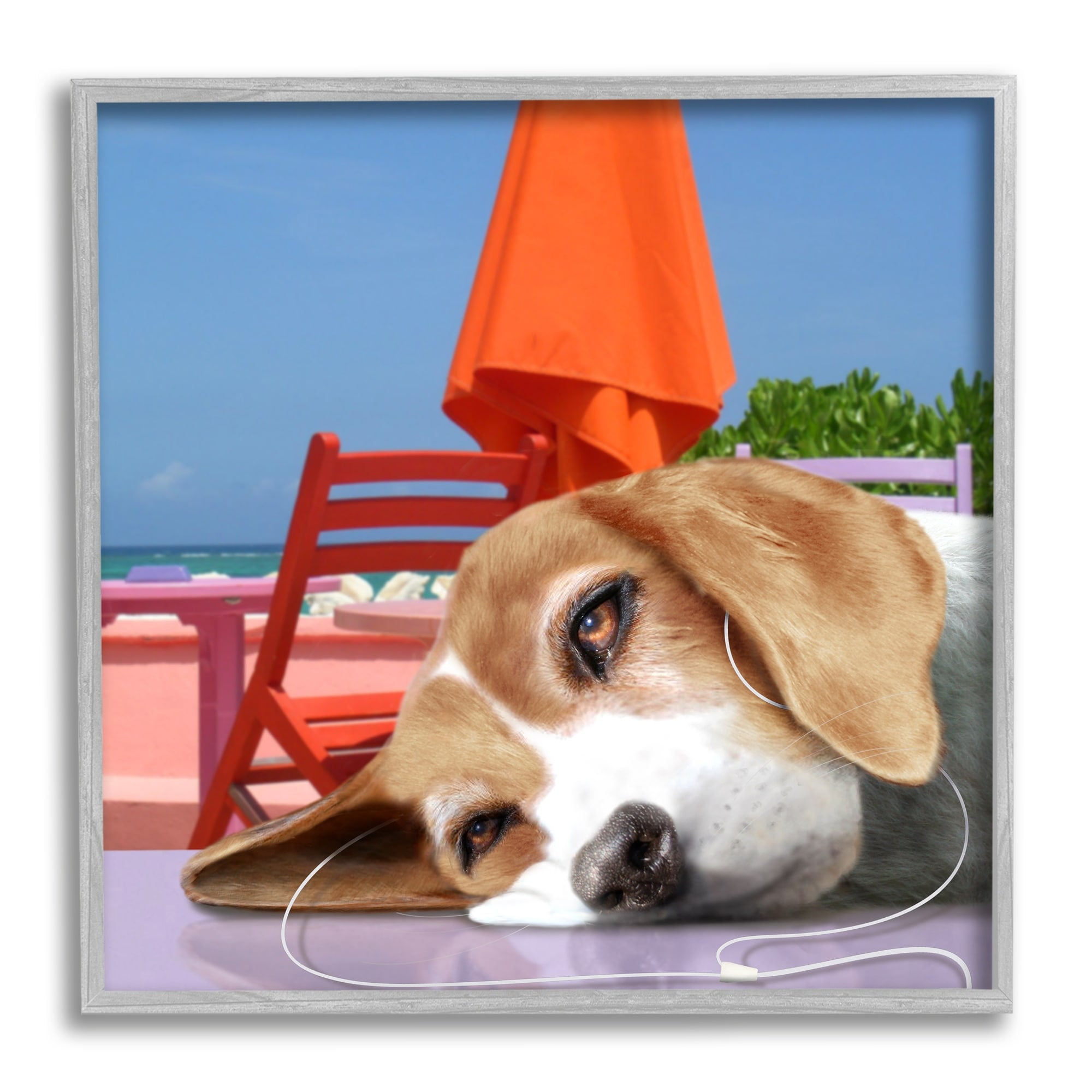 Stupell Industries Tired Dog Laying Music Headphones Summer Beach Graphic Art Gray Framed Art Print Wall Art, Design by Noah Bay